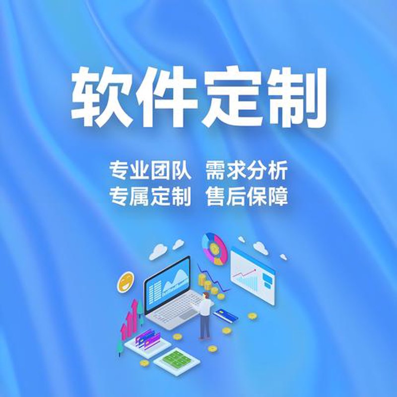 软件定制开发:新时代企业不可或缺的助力器